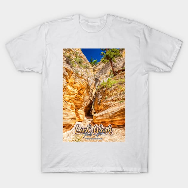 Lick Wash Trail Hike T-Shirt by Gestalt Imagery